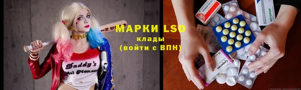 бошки Бородино