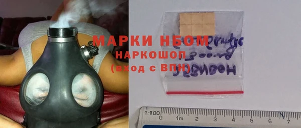 бошки Бородино
