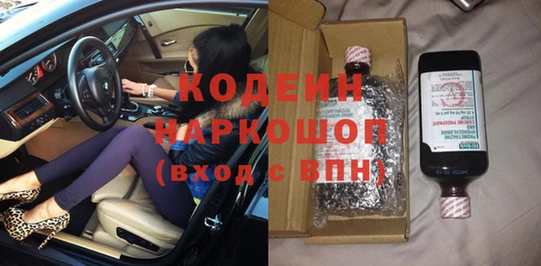 бошки Бородино