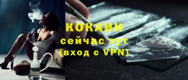 бошки Бородино
